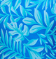 Canopy Prints