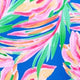 Carnival Prints