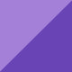 Paddle & Purple Contrasts