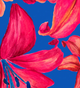 Wonders Prints