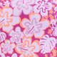 Zinna Prints
